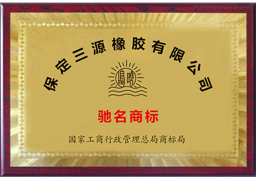 膠管膠帶行業(yè)最具成長(cháng)性企業(yè).jpg